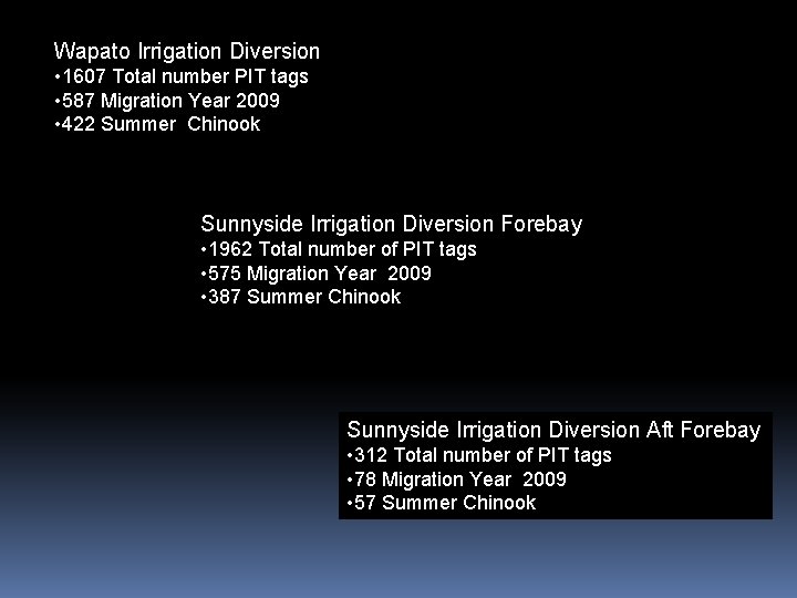 Wapato Irrigation Diversion • 1607 Total number PIT tags • 587 Migration Year 2009