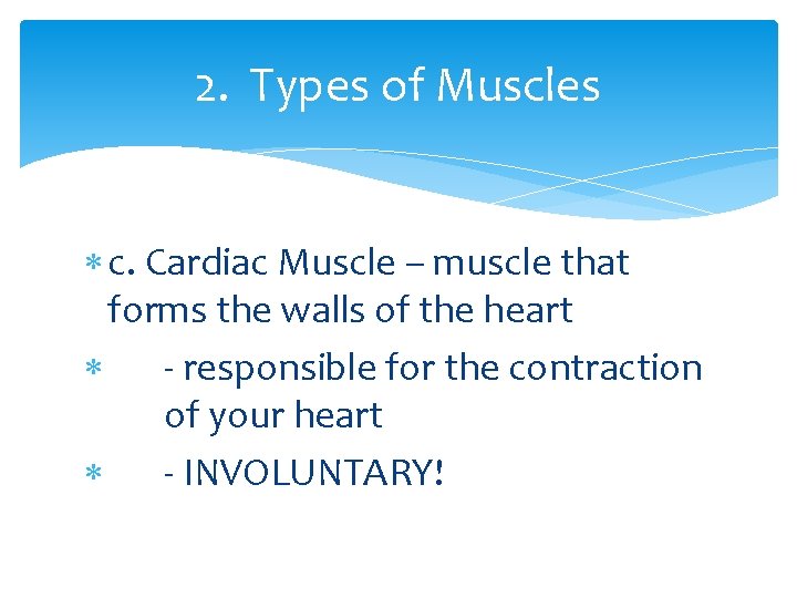 2. Types of Muscles c. Cardiac Muscle – muscle that forms the walls of