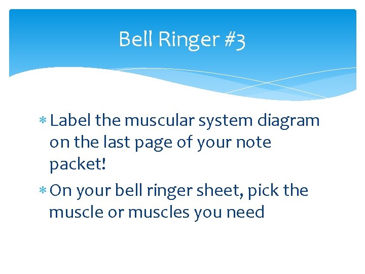 Bell Ringer #3 Label the muscular system diagram on the last page of your