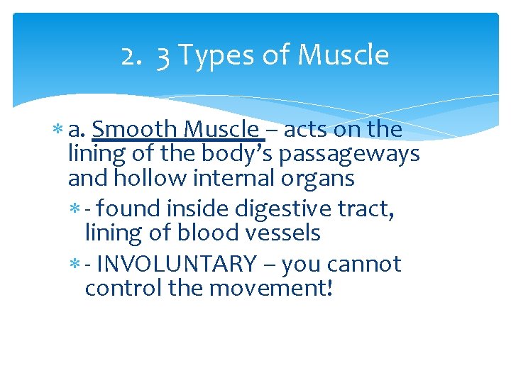 2. 3 Types of Muscle a. Smooth Muscle – acts on the lining of
