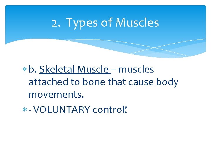 2. Types of Muscles b. Skeletal Muscle – muscles attached to bone that cause