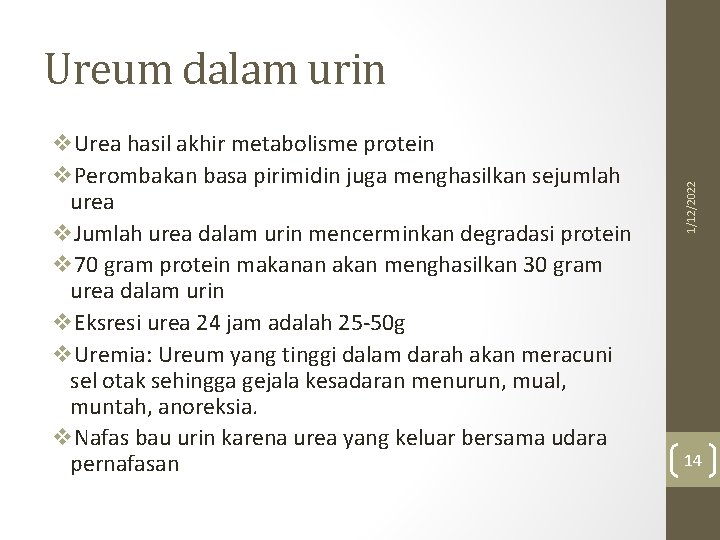 v. Urea hasil akhir metabolisme protein v. Perombakan basa pirimidin juga menghasilkan sejumlah urea