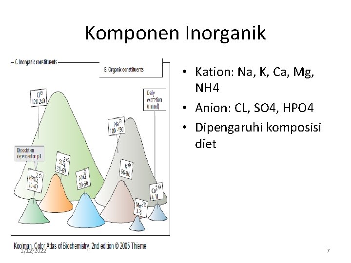 Komponen Inorganik • Kation: Na, K, Ca, Mg, NH 4 • Anion: CL, SO