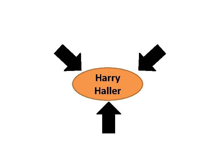 Harry Haller 