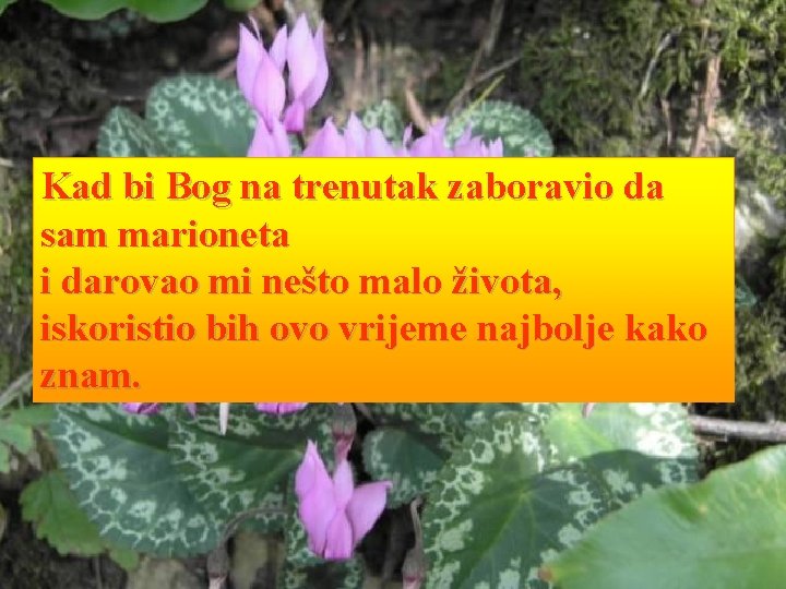 Kad bi Bog na trenutak zaboravio da sam marioneta i darovao mi nešto malo