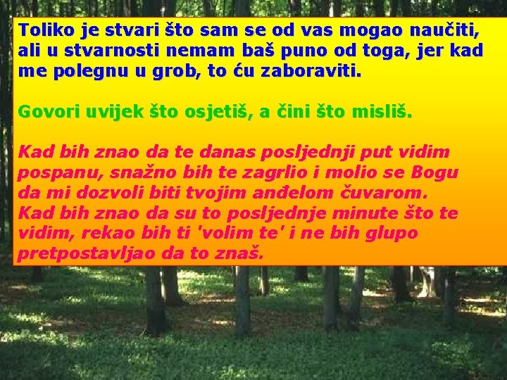 Toliko je stvari što sam se od vas mogao naučiti, ali u stvarnosti nemam