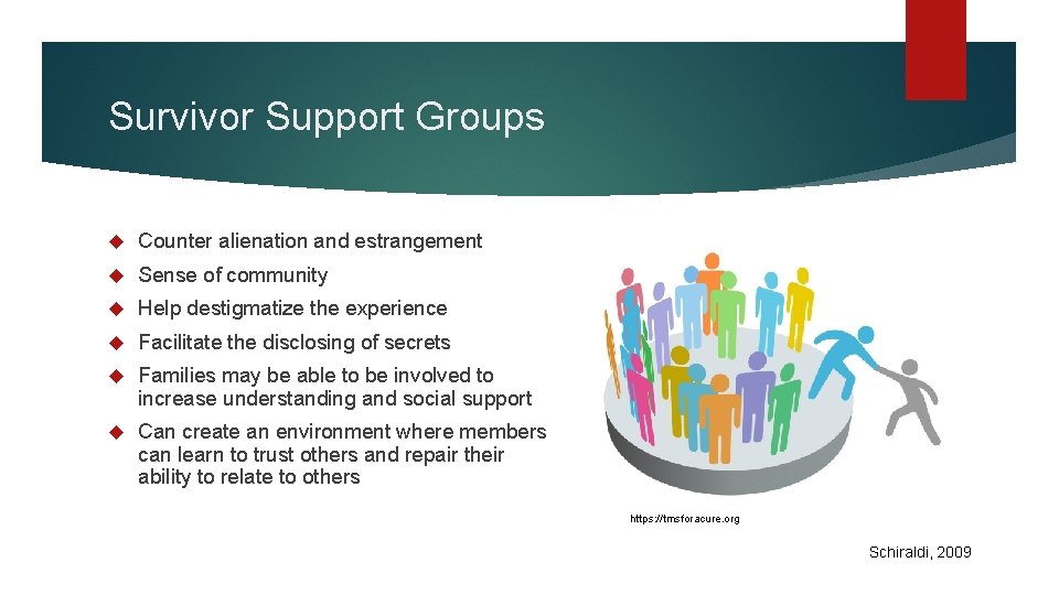 Survivor Support Groups Counter alienation and estrangement Sense of community Help destigmatize the experience