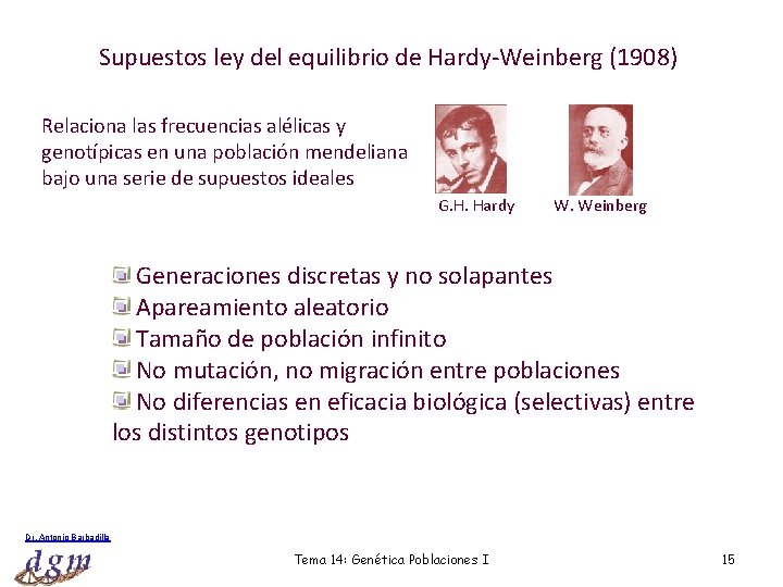 Supuestos ley del equilibrio de Hardy-Weinberg (1908) Relaciona las frecuencias alélicas y genotípicas en