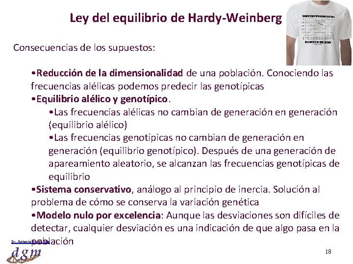 Ley del equilibrio de Hardy-Weinberg Consecuencias de los supuestos: • Reducción de la dimensionalidad