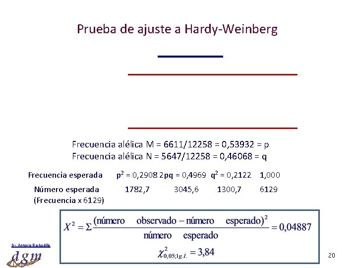 Prueba de ajuste a Hardy-Weinberg Frecuencia alélica M = 6611/12258 = 0, 53932 =