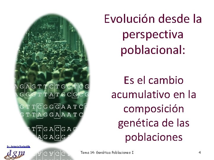 Evolución desde la perspectiva poblacional: Es el cambio acumulativo en la composición genética de