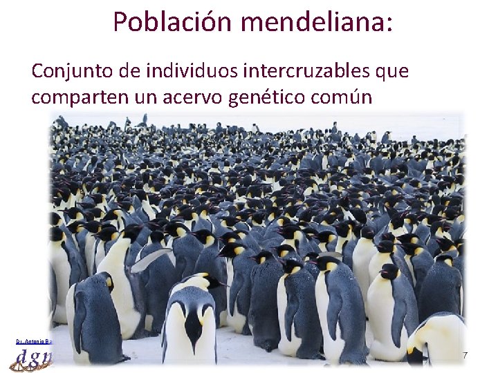 Población mendeliana: Conjunto de individuos intercruzables que comparten un acervo genético común Dr. Antonio