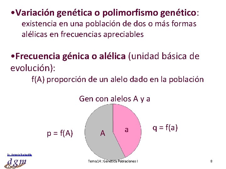  • Variación genética o polimorfismo genético: existencia en una población de dos o