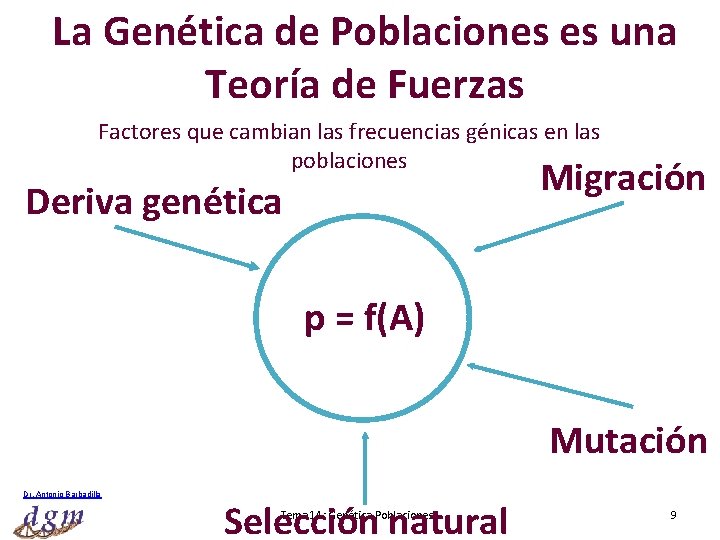 La Genética de Poblaciones es una Teoría de Fuerzas Factores que cambian las frecuencias