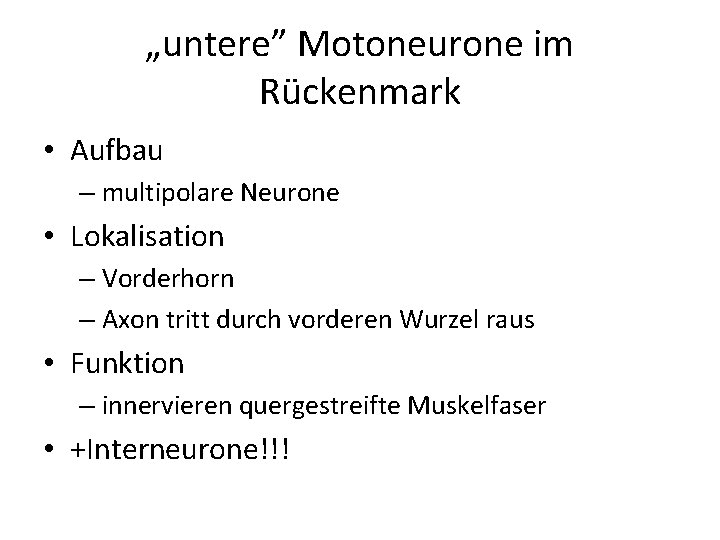 „untere” Motoneurone im Rückenmark • Aufbau – multipolare Neurone • Lokalisation – Vorderhorn –