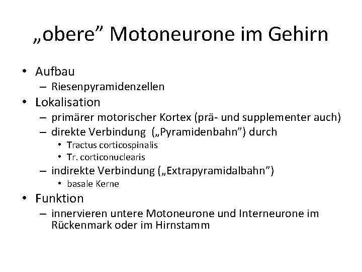 „obere” Motoneurone im Gehirn • Aufbau – Riesenpyramidenzellen • Lokalisation – primärer motorischer Kortex