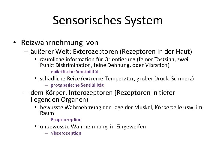 Sensorisches System • Reizwahrnehmung von – äußerer Welt: Exterozeptoren (Rezeptoren in der Haut) •