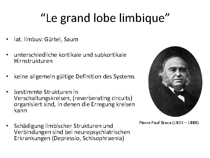 “Le grand lobe limbique” • lat. limbus: Gürtel, Saum • unterschiedliche kortikale und subkortikale