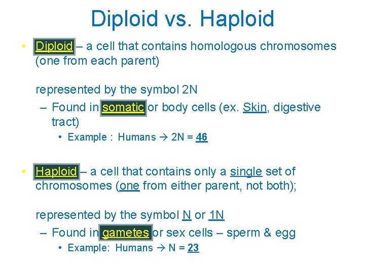 Diploid vs. Haploid • Diploid – a cell that contains homologous chromosomes (one from