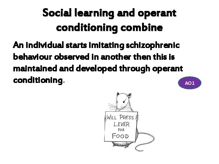 Social learning and operant conditioning combine An individual starts imitating schizophrenic behaviour observed in