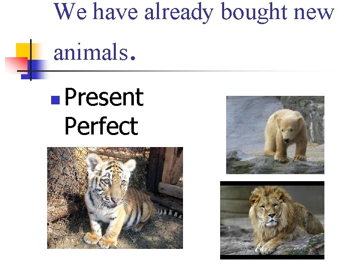 We have already bought new animals. n Present Perfect 