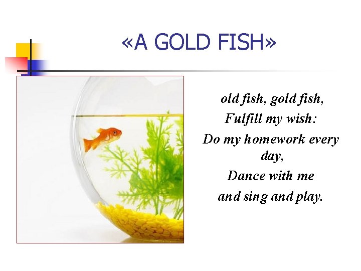  «A GOLD FISH» old fish, gold fish, Fulfill my wish: Do my homework