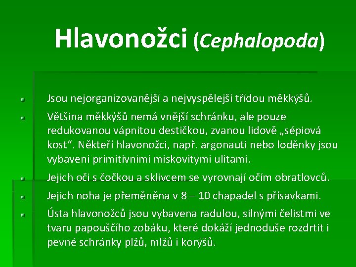 Hlavonožci (Cephalopoda) Jsou nejorganizovanější a nejvyspělejší třídou měkkýšů. Většina měkkýšů nemá vnější schránku, ale