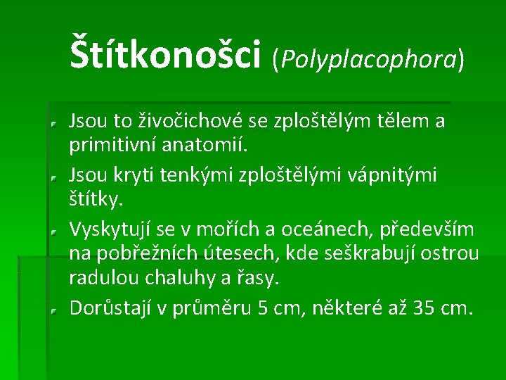 Štítkonošci (Polyplacophora) Jsou to živočichové se zploštělým tělem a primitivní anatomií. Jsou kryti tenkými