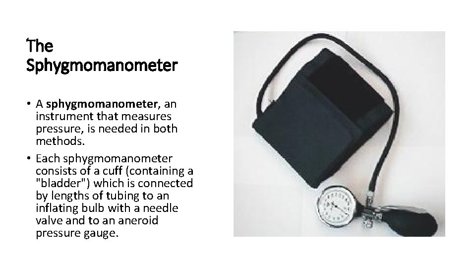 The Sphygmomanometer • A sphygmomanometer, an instrument that measures pressure, is needed in both