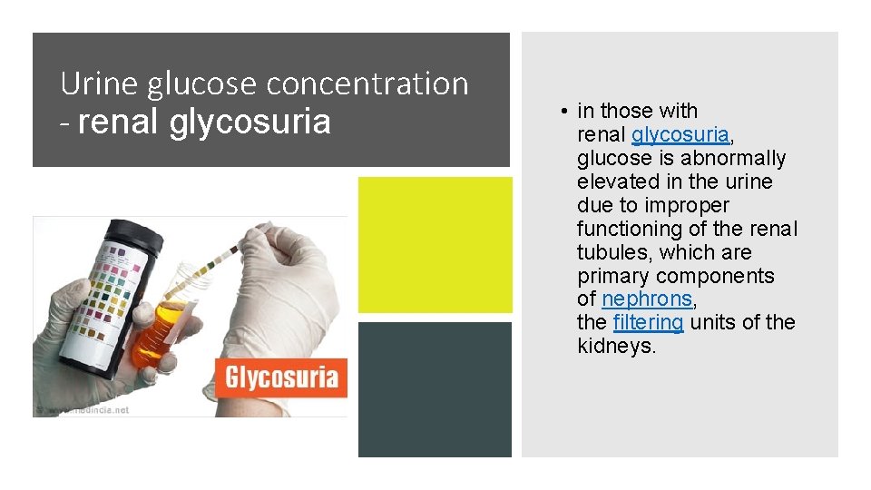 Urine glucose concentration - renal glycosuria • in those with renal glycosuria, glucose is