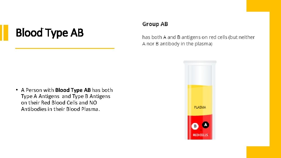 Blood Type AB • A Person with Blood Type AB has both Type A