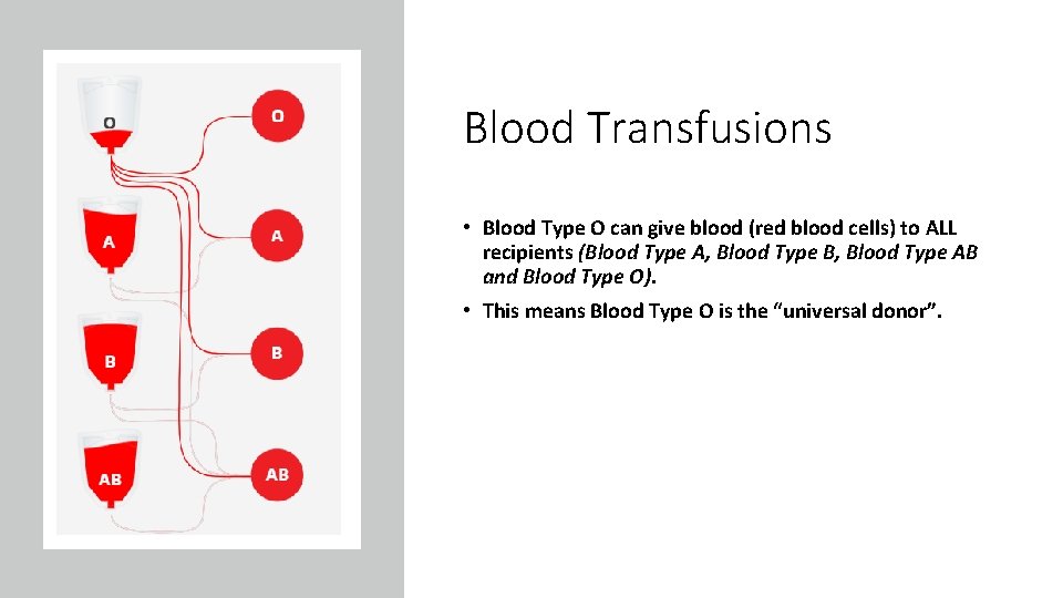 Blood Transfusions • Blood Type O can give blood (red blood cells) to ALL