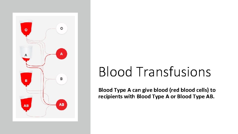 Blood Transfusions Blood Type A can give blood (red blood cells) to recipients with