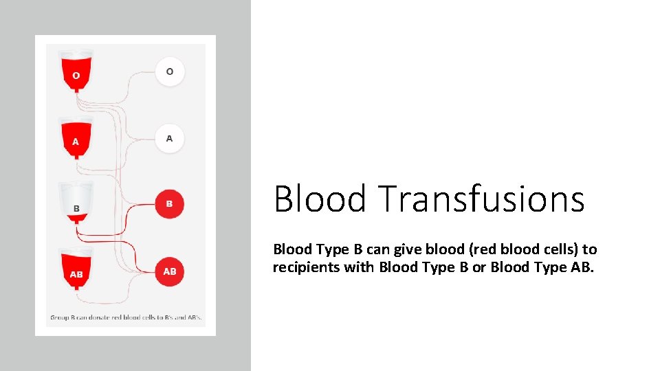 Blood Transfusions Blood Type B can give blood (red blood cells) to recipients with