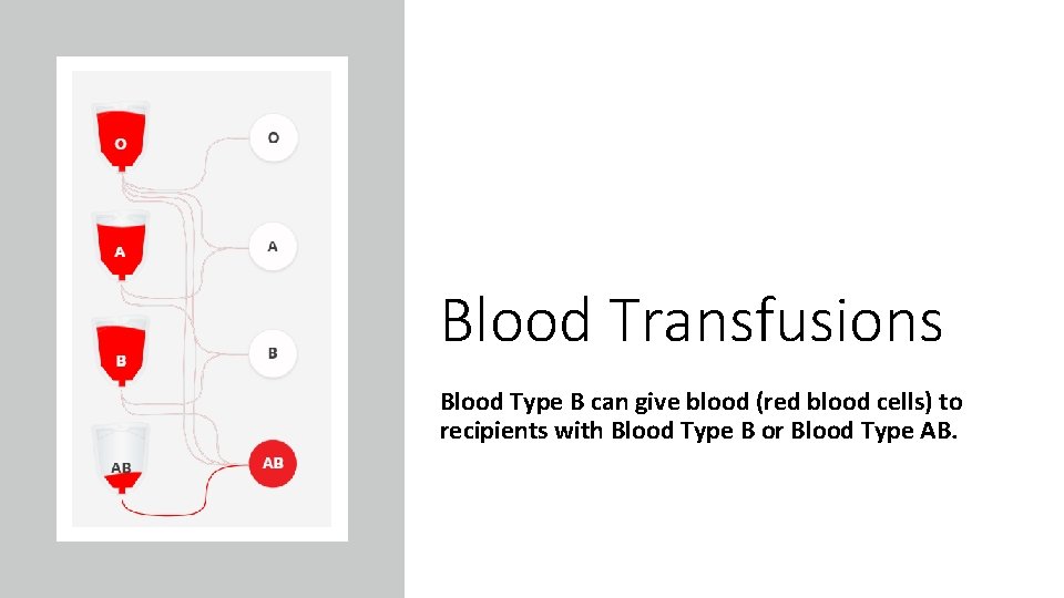 Blood Transfusions Blood Type B can give blood (red blood cells) to recipients with