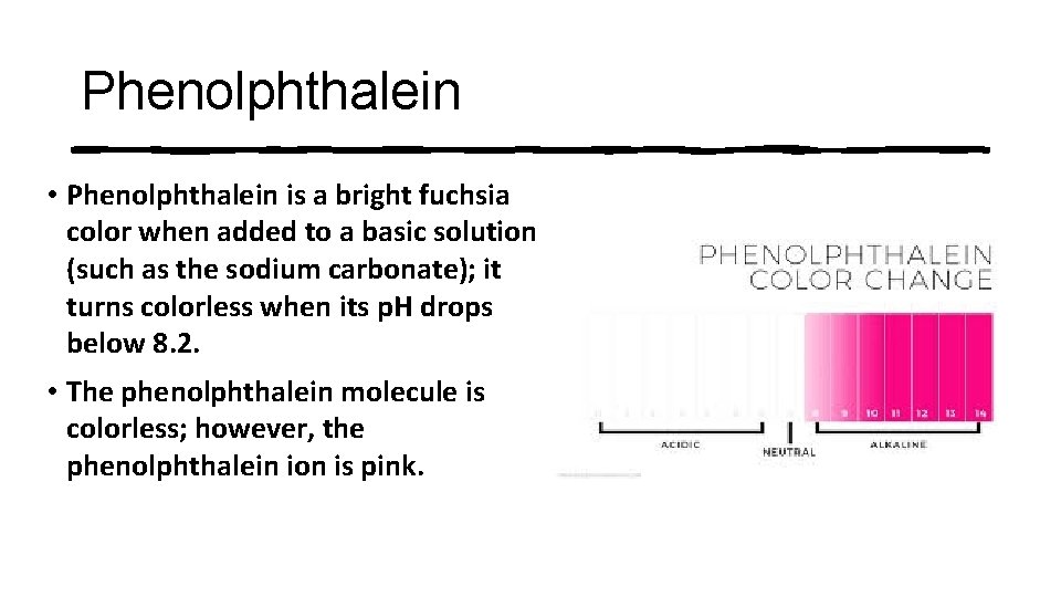 Phenolphthalein • Phenolphthalein is a bright fuchsia color when added to a basic solution