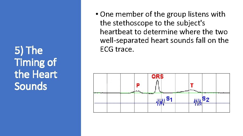 5) The Timing of the Heart Sounds • One member of the group listens