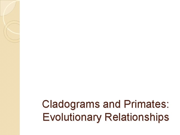 Cladograms and Primates: Evolutionary Relationships 