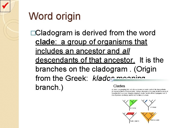  Word origin �Cladogram is derived from the word clade: a group of organisms