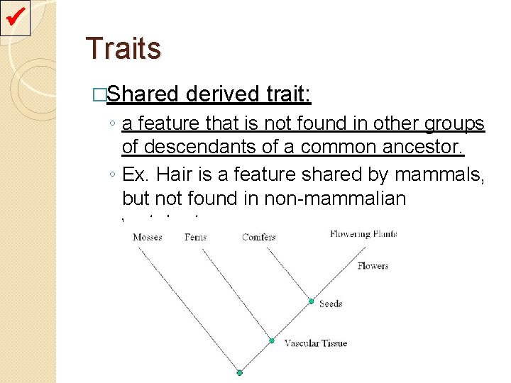  Traits �Shared derived trait: ◦ a feature that is not found in other