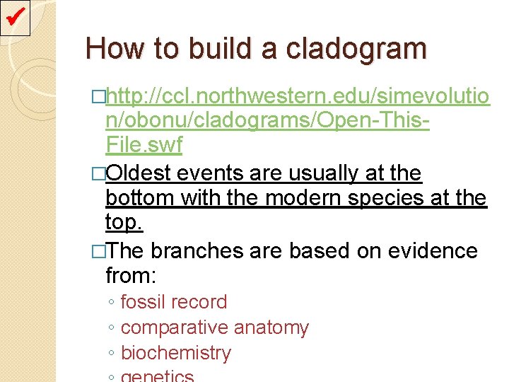  How to build a cladogram �http: //ccl. northwestern. edu/simevolutio n/obonu/cladograms/Open-This. File. swf �Oldest
