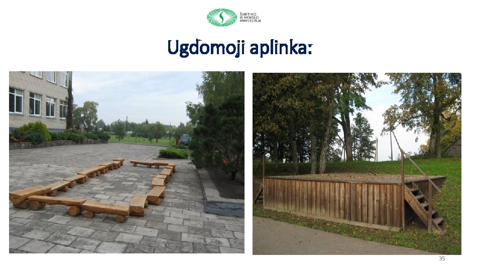 Ugdomoji aplinka: 35 