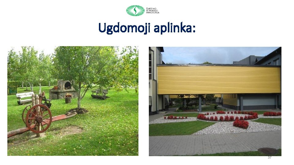 Ugdomoji aplinka: 37 