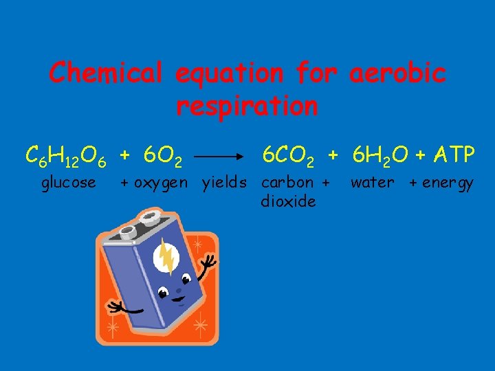 Chemical equation for aerobic respiration C 6 H 12 O 6 + 6 O