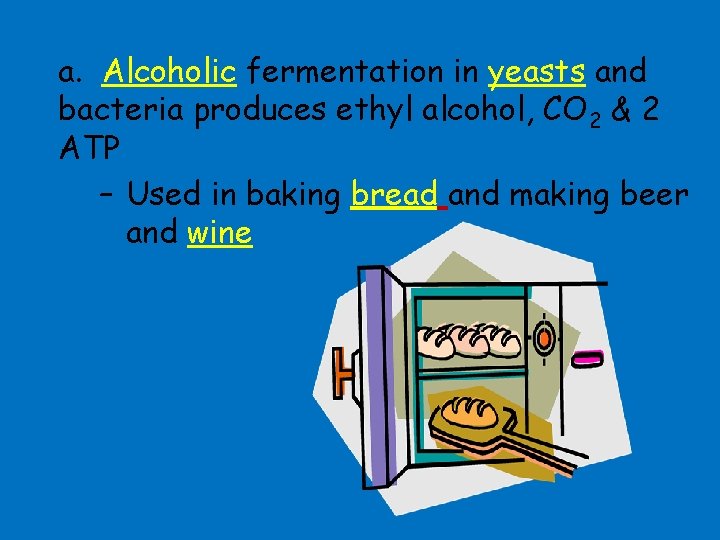 a. Alcoholic fermentation in yeasts and bacteria produces ethyl alcohol, CO 2 & 2