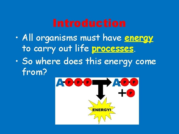 Introduction • All organisms must have energy to carry out life processes. • So