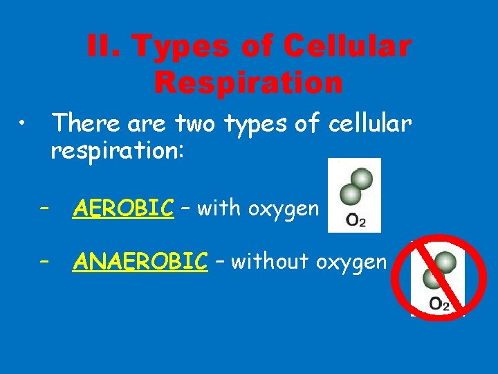 II. Types of Cellular Respiration • There are two types of cellular respiration: –