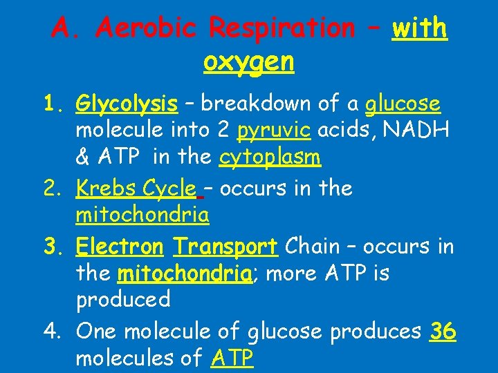 A. Aerobic Respiration – with oxygen 1. Glycolysis – breakdown of a glucose molecule