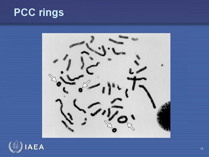 Basics of Biodosimetry Part 2 Lecture Module 3