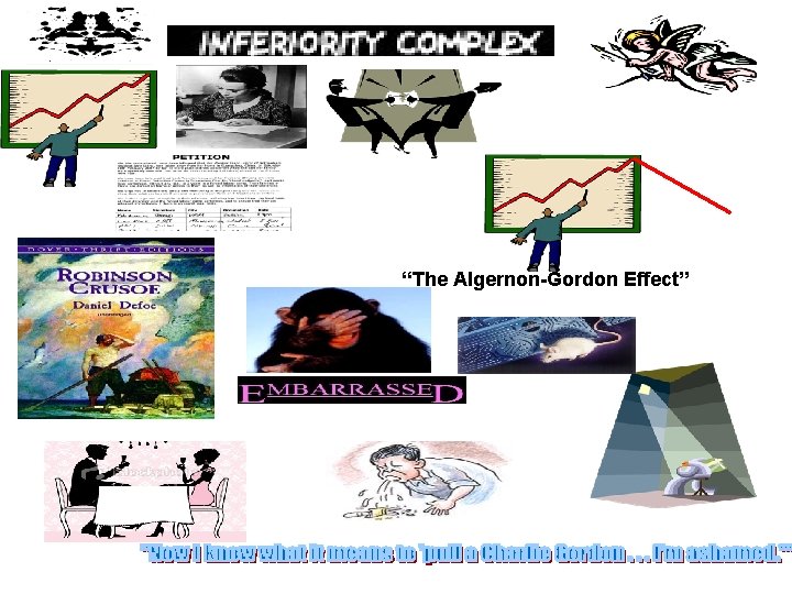 “The Algernon-Gordon Effect” 